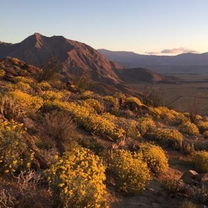 Meet your Posher, Robyn